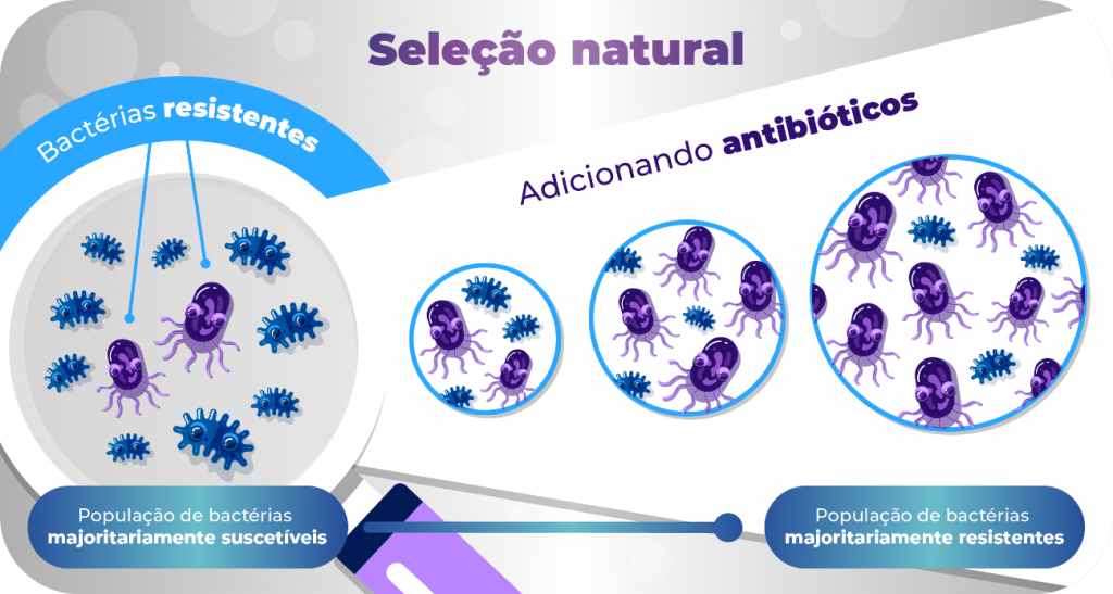 União Química Conectaentendendo A Resistência Bacteriana União